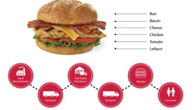 Understanding The Supply Chain Of Cheap Fast Food Ingredients